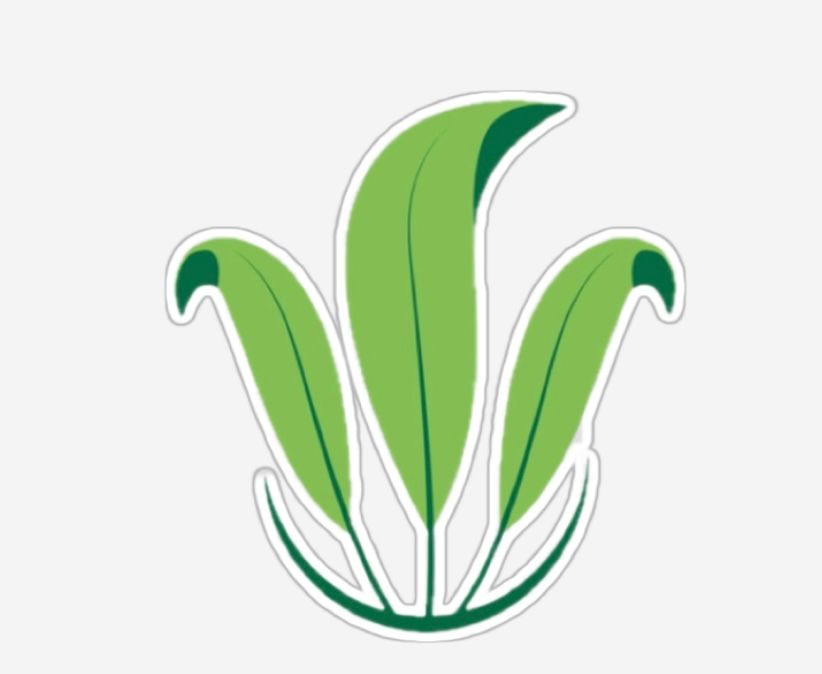 تصميم الغرف الزجاجية